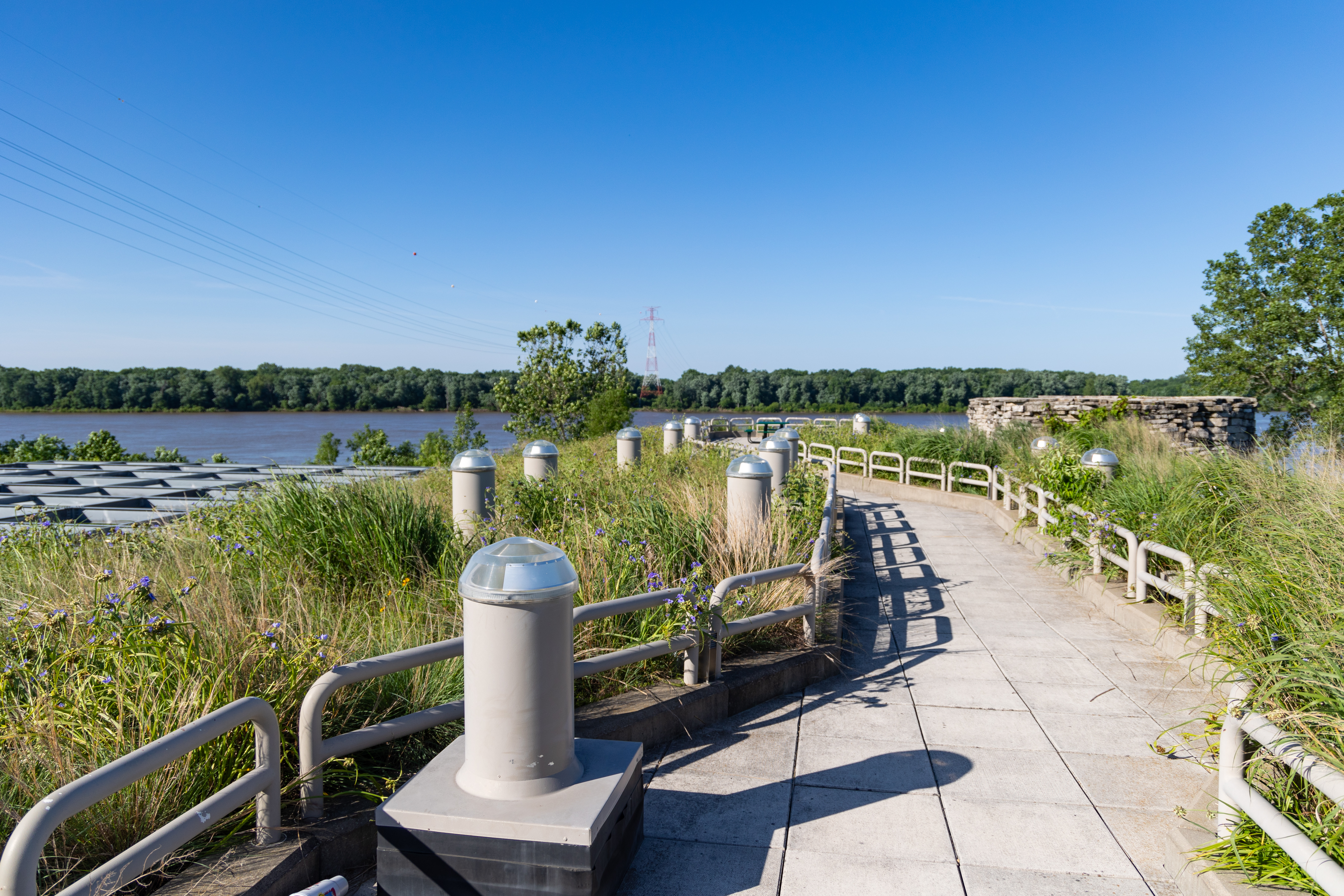 field station green roof