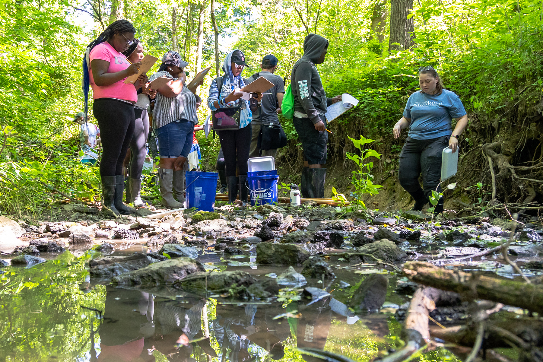 riverwatch in a creek